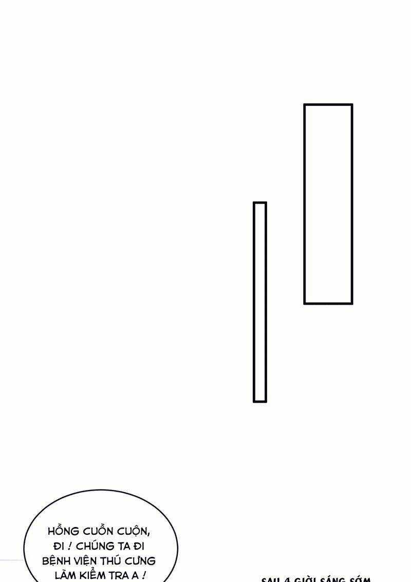 Ta Vốn Là Mèo Chapter 6 trang 32