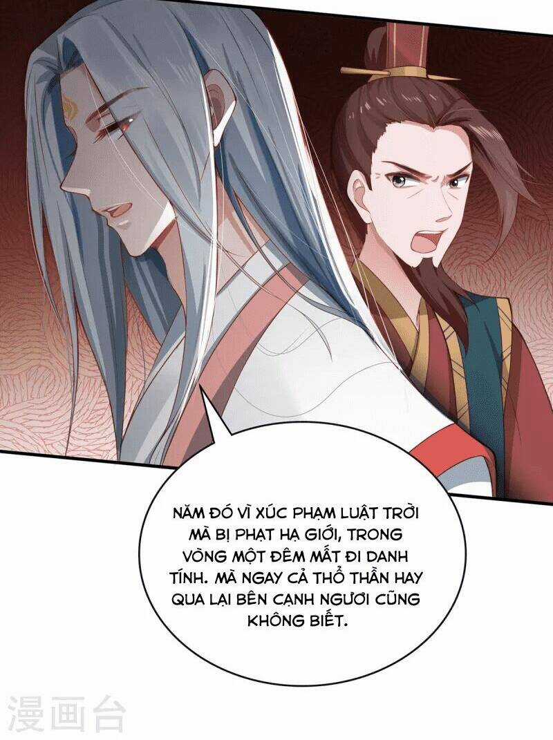 Ta Vốn Là Mèo Chapter 6 trang 50