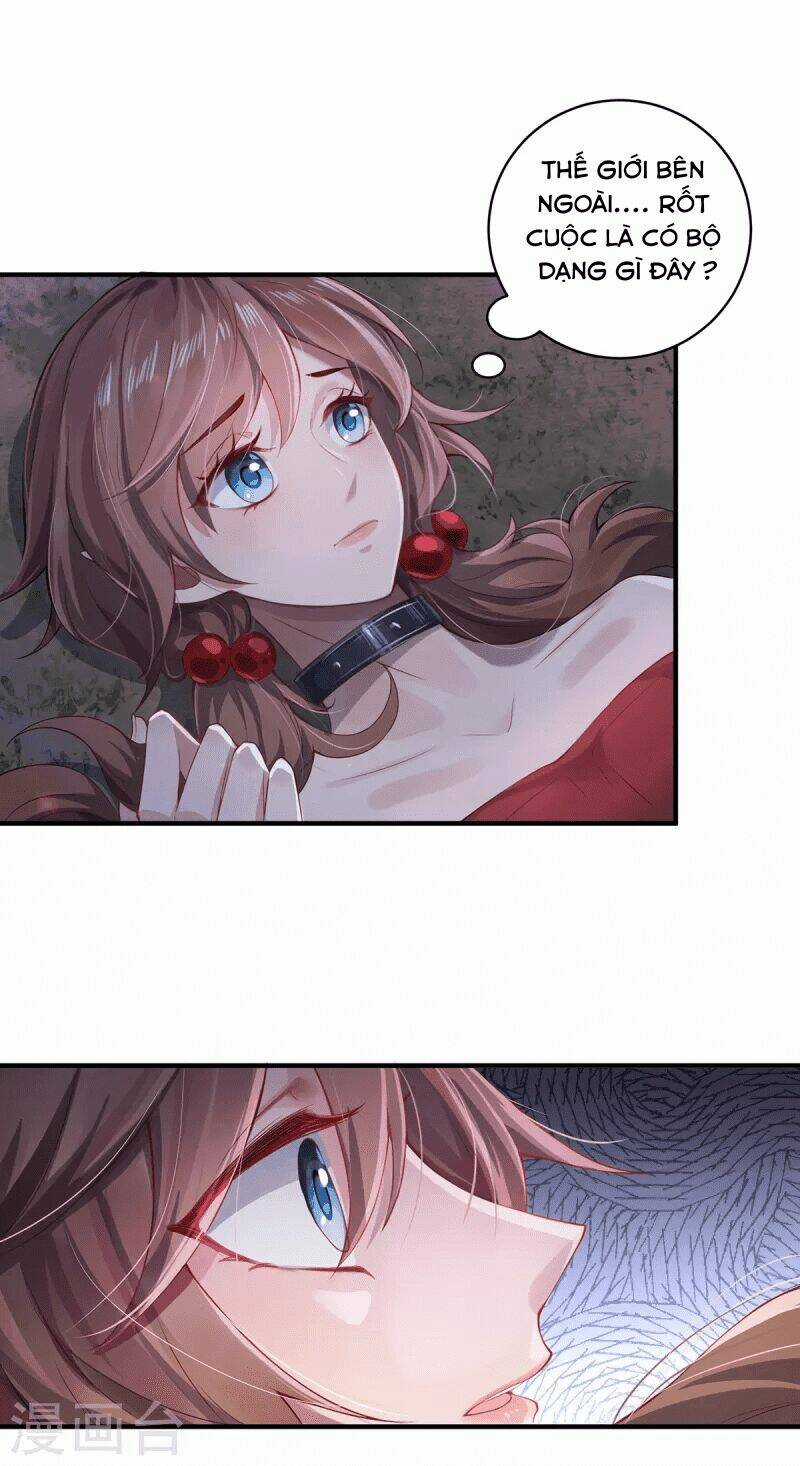 Ta Vốn Là Mèo Chapter 7 trang 46