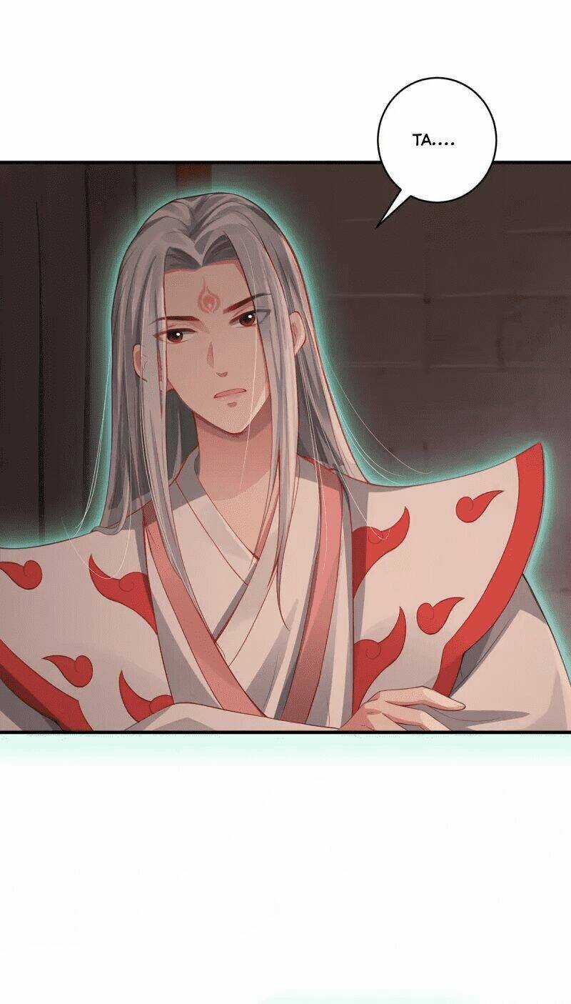 Ta Vốn Là Mèo Chapter 8 trang 14