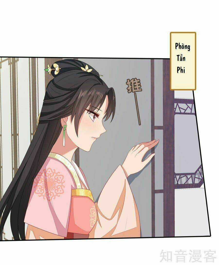 Tà Vương Thần Phi: Y Thủ Che Thiên Chapter 14 trang 13