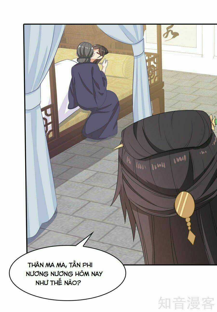 Tà Vương Thần Phi: Y Thủ Che Thiên Chapter 14 trang 14