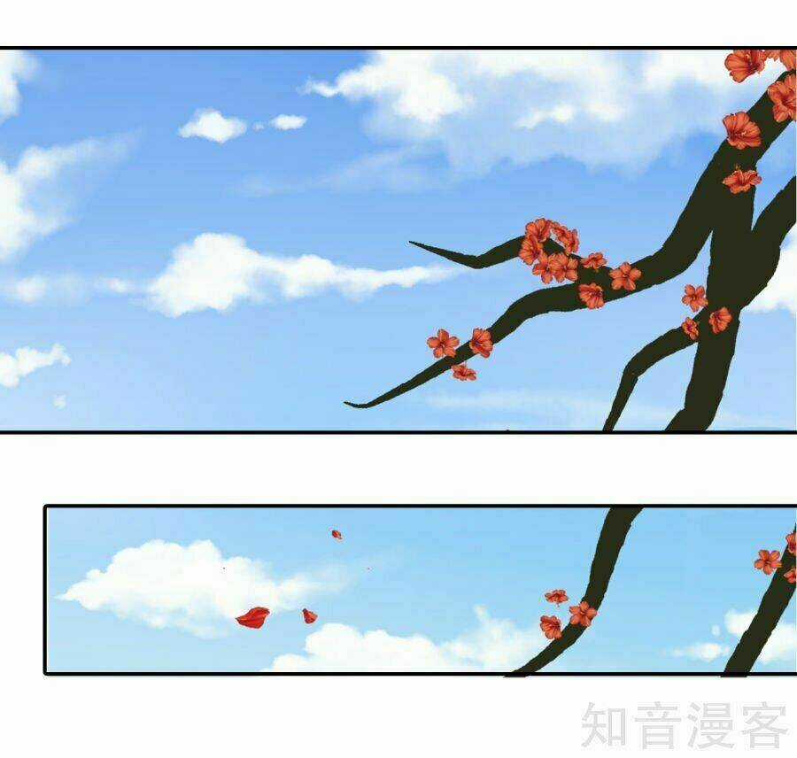 Tà Vương Thần Phi: Y Thủ Che Thiên Chapter 14 trang 24