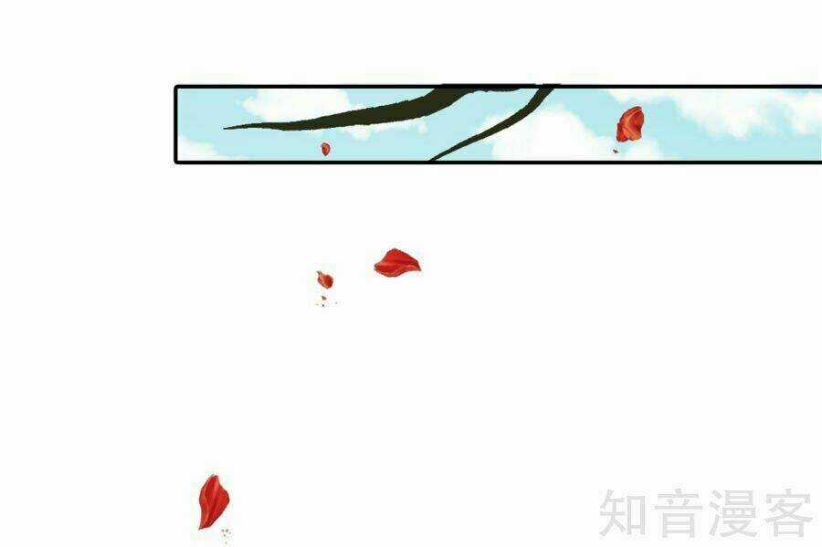 Tà Vương Thần Phi: Y Thủ Che Thiên Chapter 14 trang 25