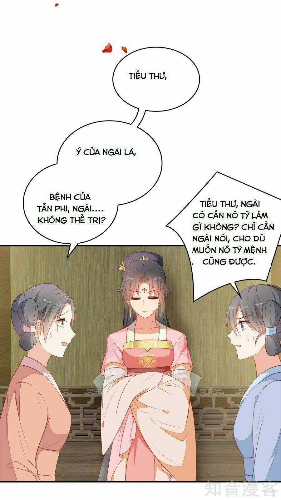 Tà Vương Thần Phi: Y Thủ Che Thiên Chapter 14 trang 26