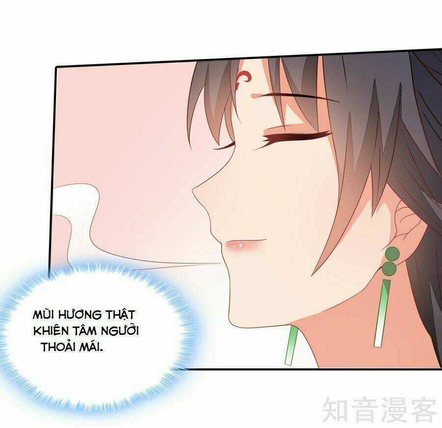 Tà Vương Thần Phi: Y Thủ Che Thiên Chapter 14 trang 42