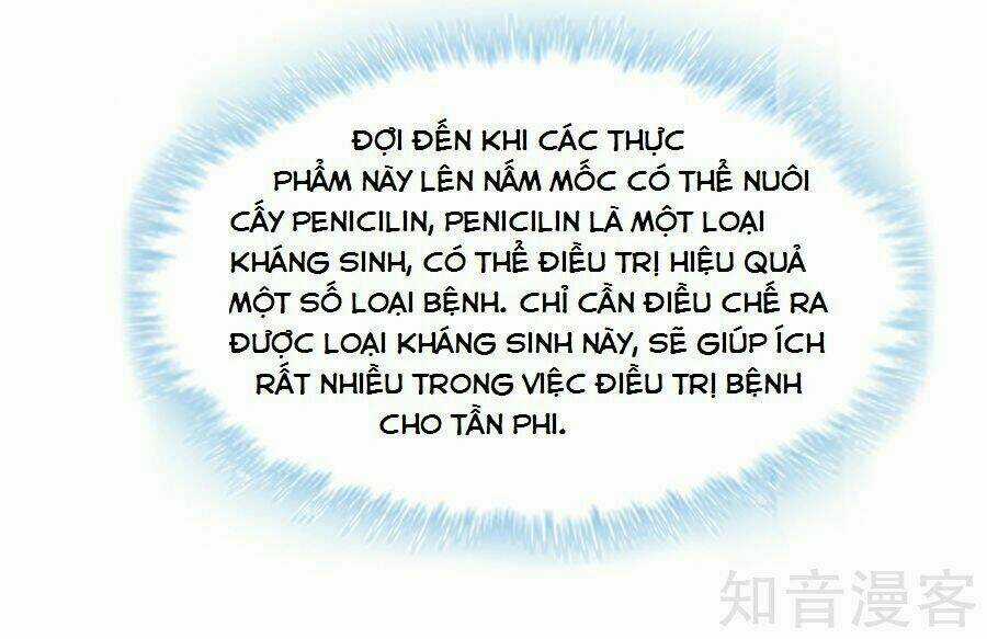Tà Vương Thần Phi: Y Thủ Che Thiên Chapter 14 trang 7