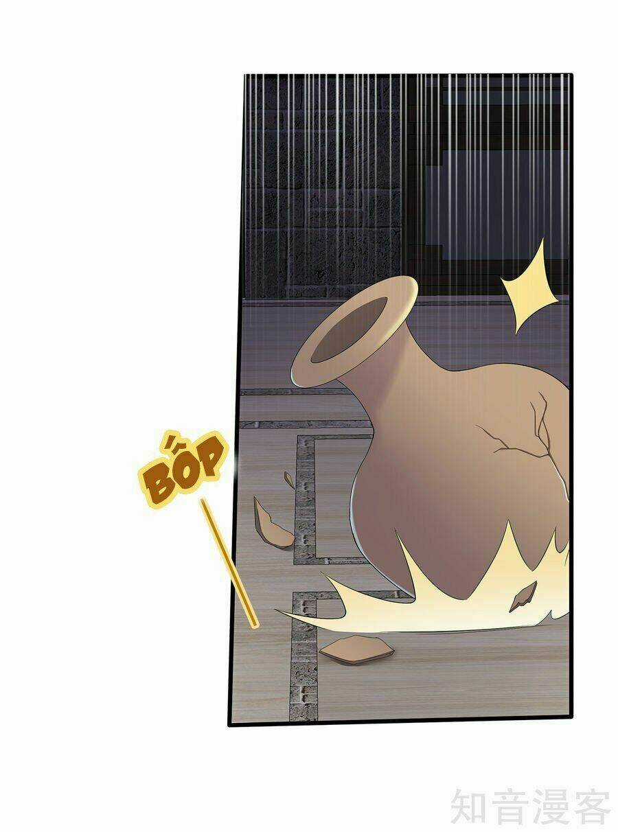 Tà Vương Thần Phi: Y Thủ Che Thiên Chapter 15 trang 13