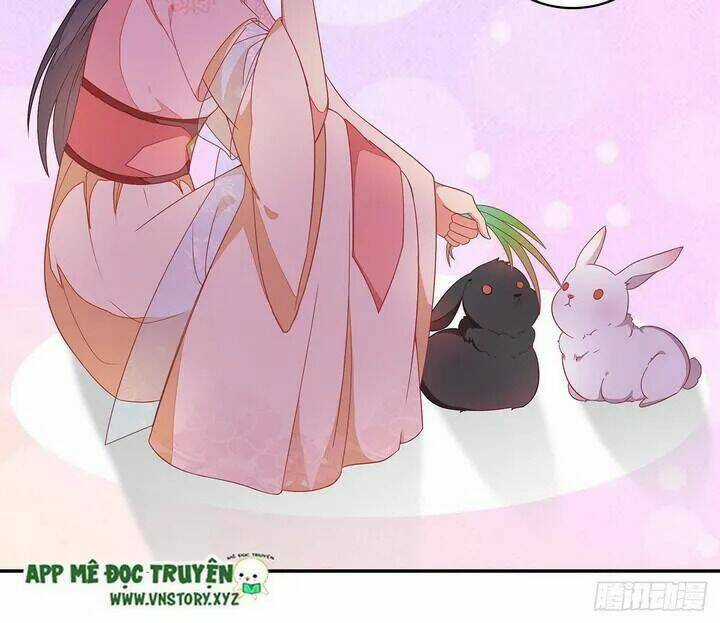 Tà Vương Thần Phi: Y Thủ Che Thiên Chapter 17 trang 22