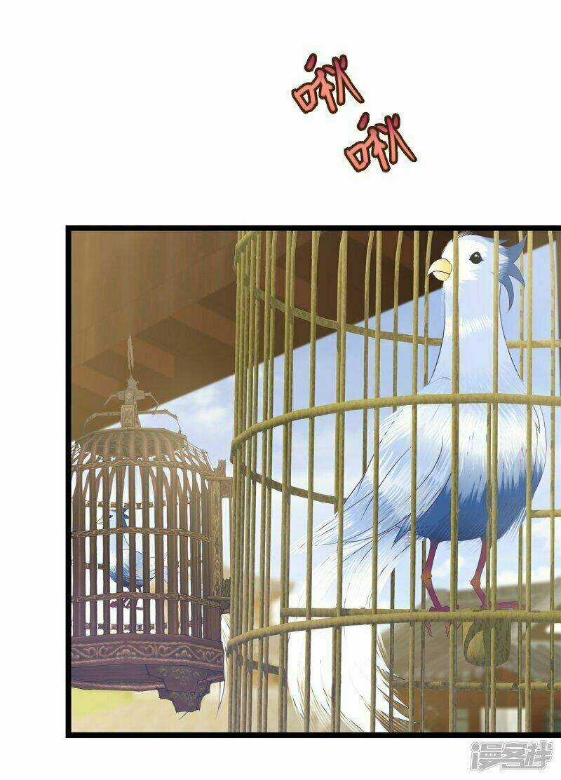 Tà Vương Thần Phi: Y Thủ Che Thiên Chapter 4 trang 2