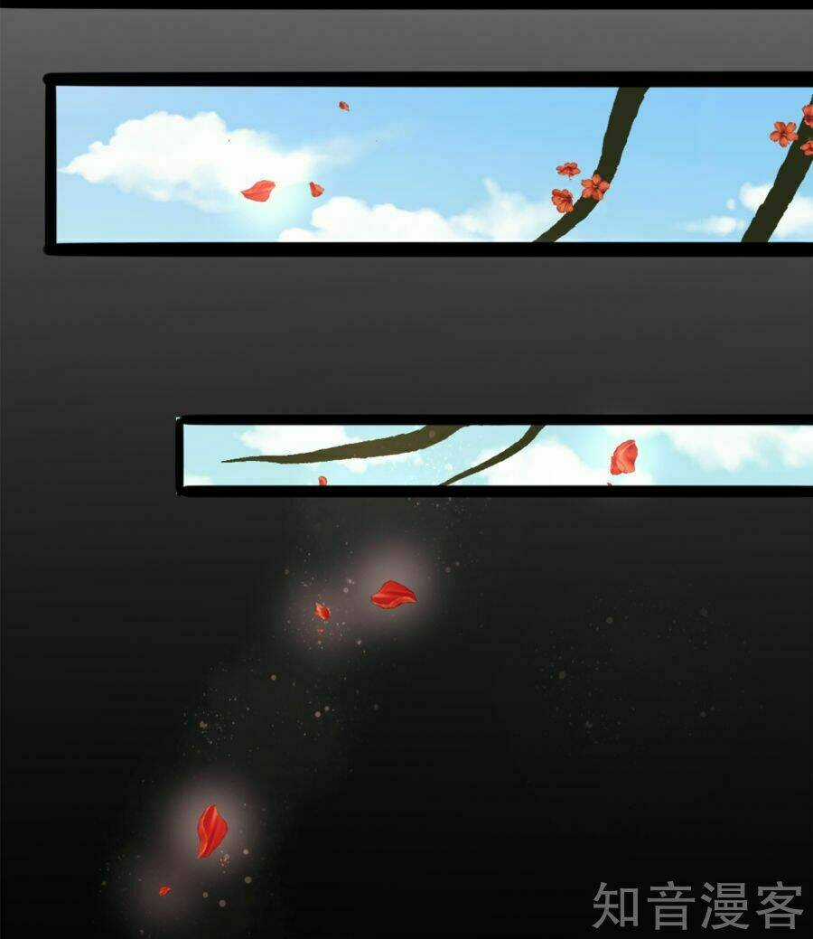 Tà Vương Thần Phi: Y Thủ Che Thiên Chapter 7 trang 14