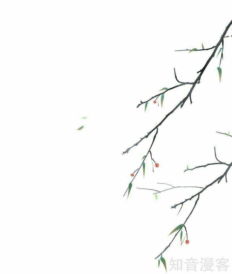 Tà Vương Thần Phi: Y Thủ Che Thiên Chapter 9 trang 15