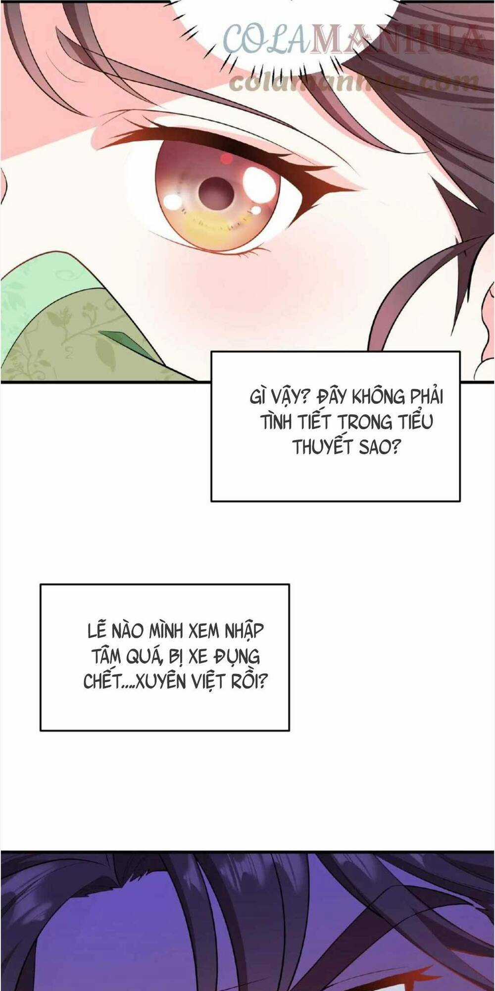 Ta Xuyên Về Hồi Nhỏ Của Đại Bạo Quân , Để Đánh Vỡ Bình Sữa Của Hắn Chapter 1 trang 13