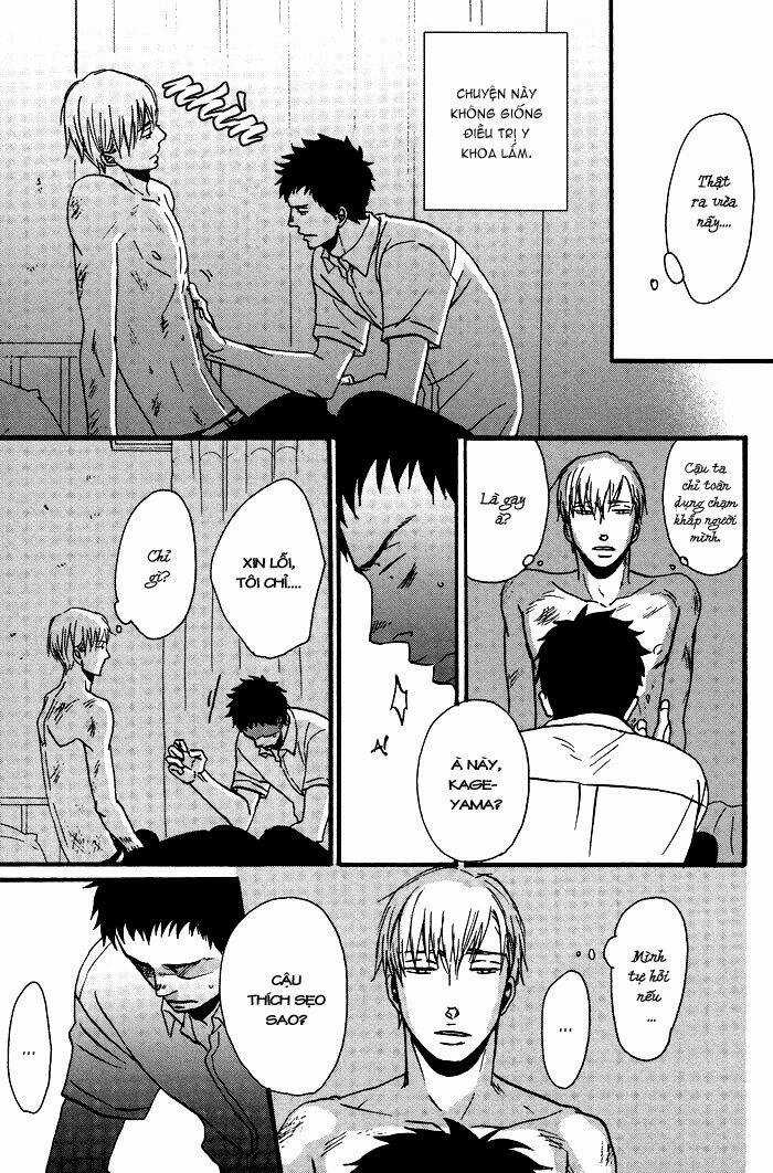 Tadayoedo Shizumazu, Saredo Naki Mo Sezu Chapter 1 trang 10