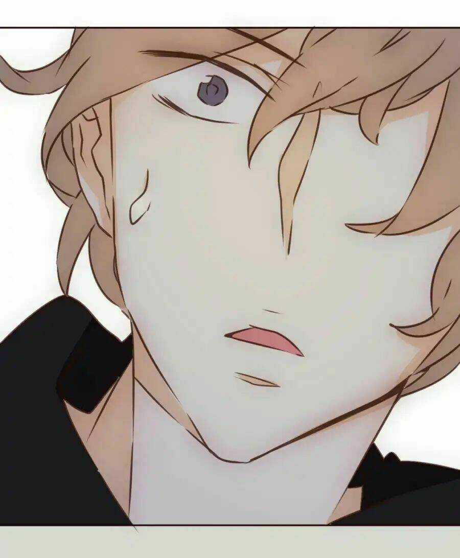 Tai Cá Voi Chapter 1 trang 23