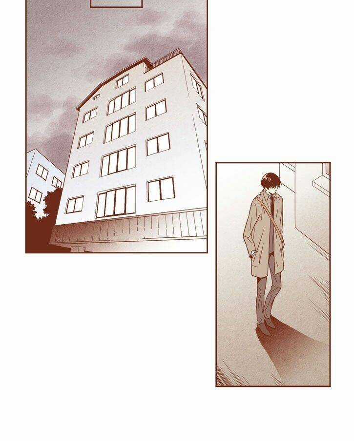 Tại sao đàn ông không còn mang giày cao gót Chapter 2 trang 11