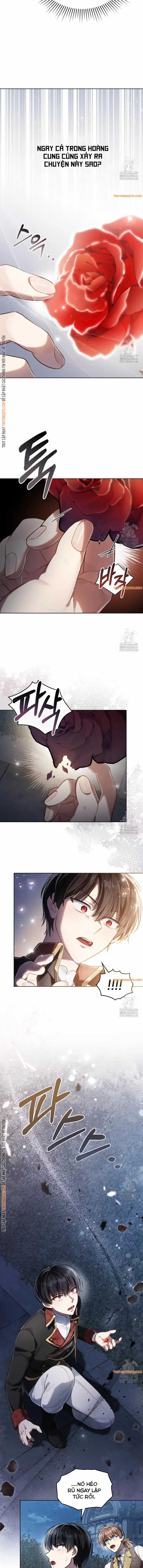 Tái Sinh Thành Hoàng Tử Của Quốc Gia Kẻ Địch Chapter 60 trang 10