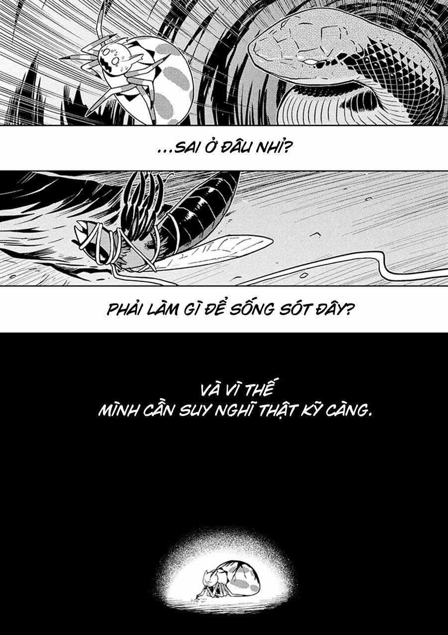 Tái Sinh Thành Nhện Chương 11 trang 7