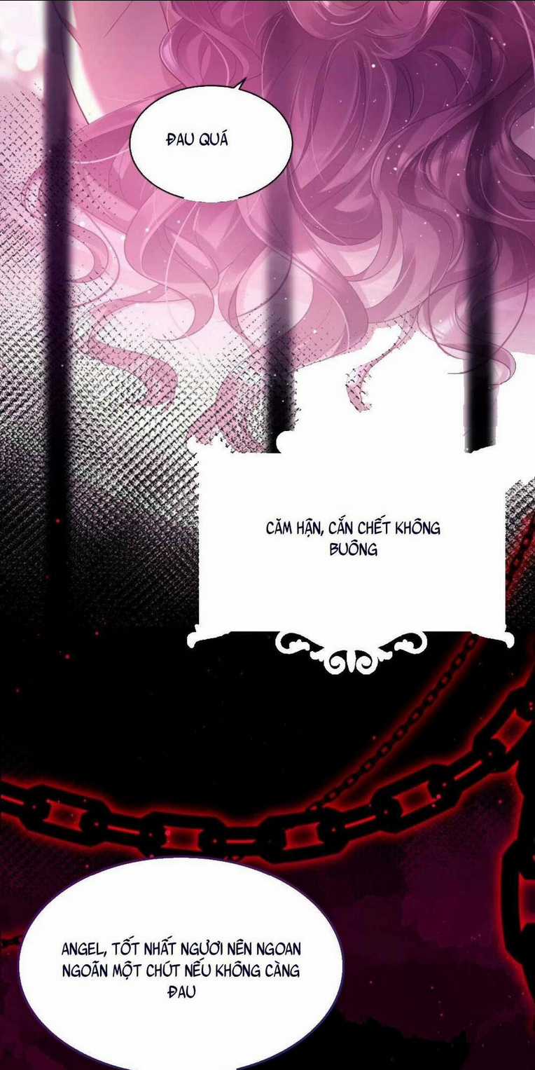 Tái Sinh Trở Lại : Chồng Cũ Khóc Lóc Cầu Xin Tái Hôn Chapter 1 trang 11