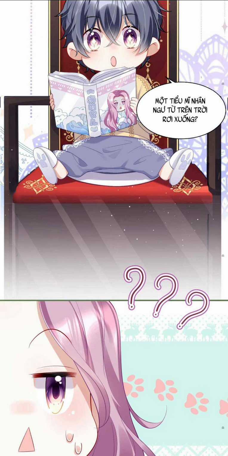 Tái Sinh Trở Lại : Chồng Cũ Khóc Lóc Cầu Xin Tái Hôn Chapter 1 trang 24