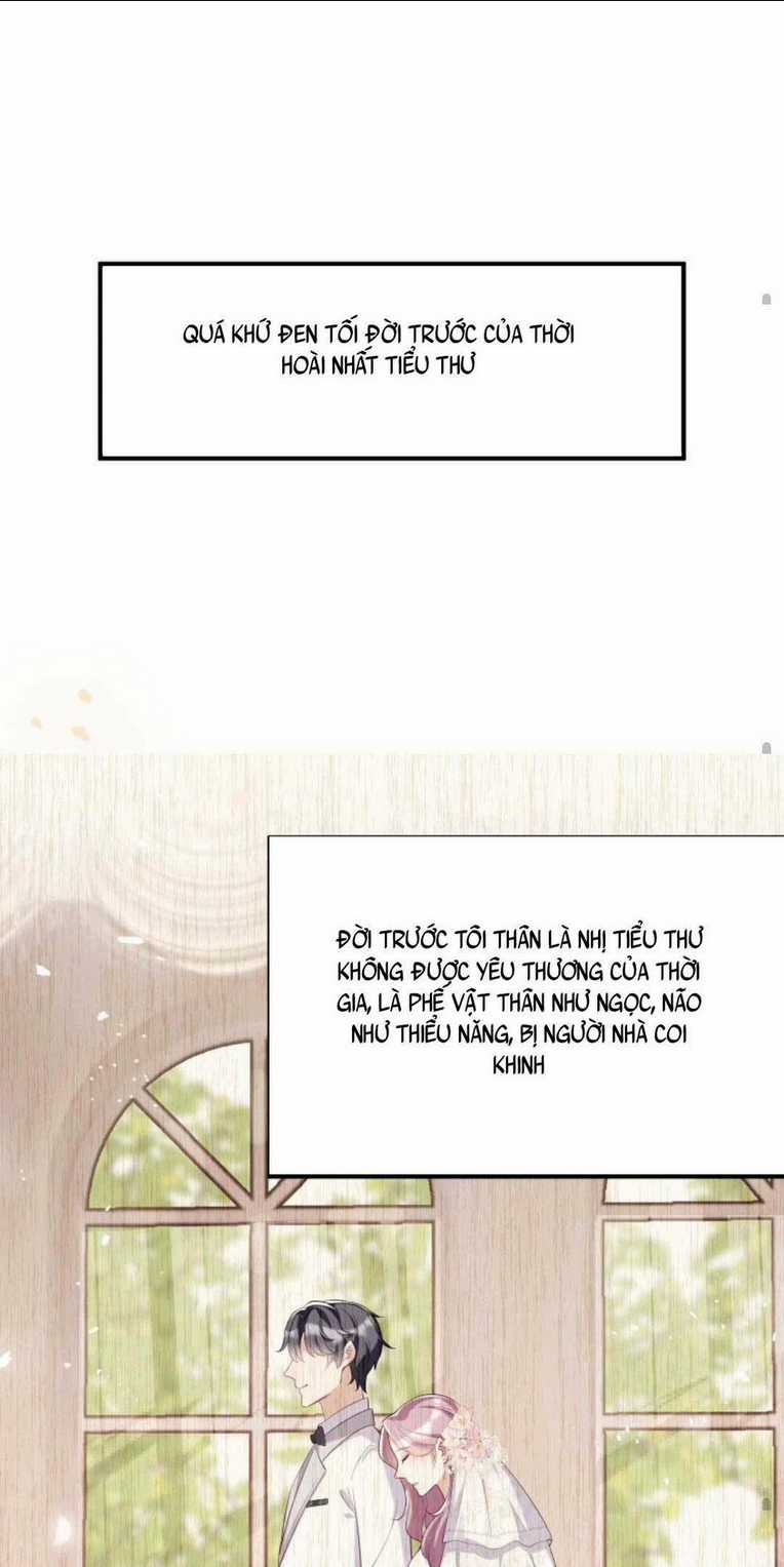 Tái Sinh Trở Lại : Chồng Cũ Khóc Lóc Cầu Xin Tái Hôn Chapter 1 trang 29