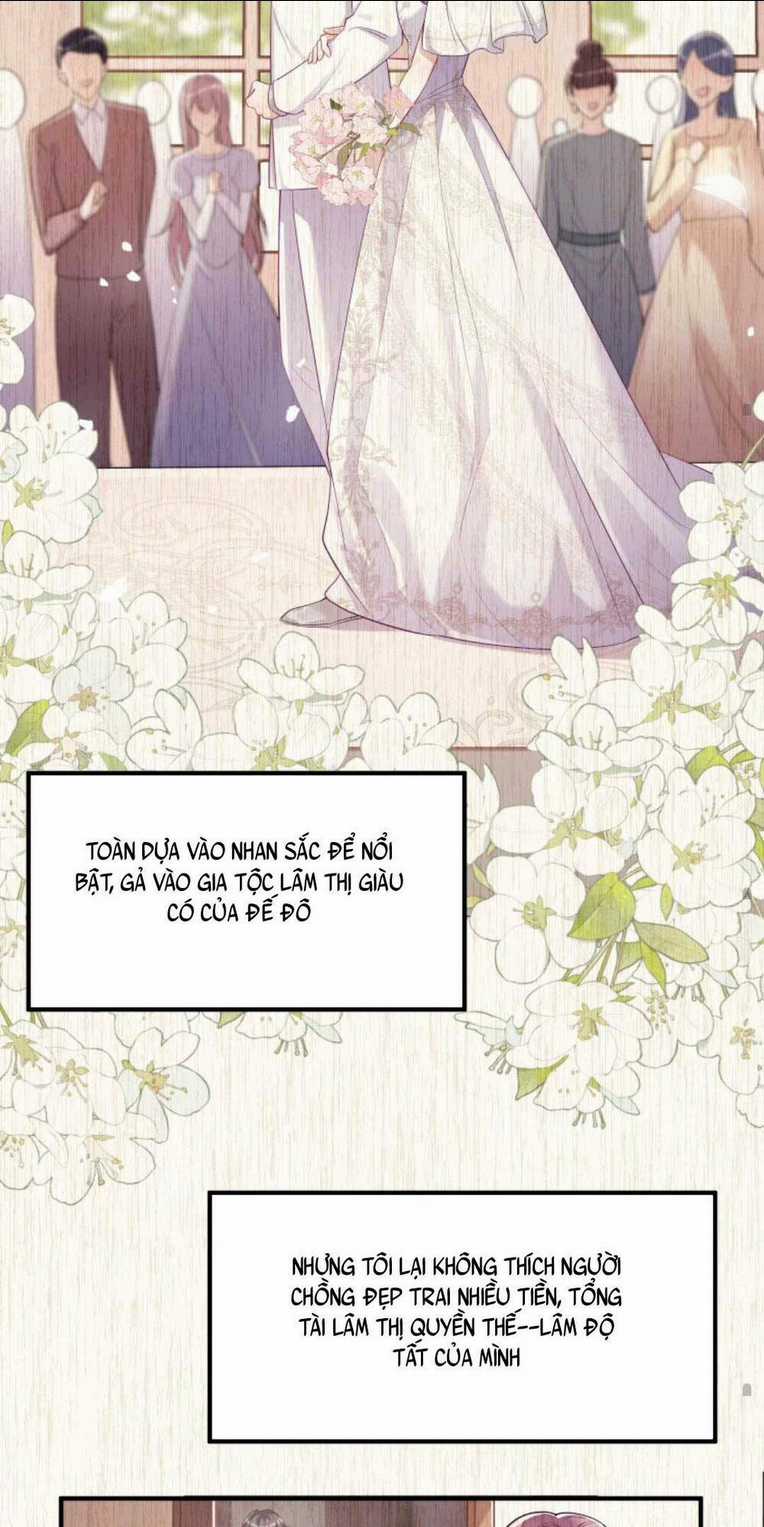 Tái Sinh Trở Lại : Chồng Cũ Khóc Lóc Cầu Xin Tái Hôn Chapter 1 trang 30