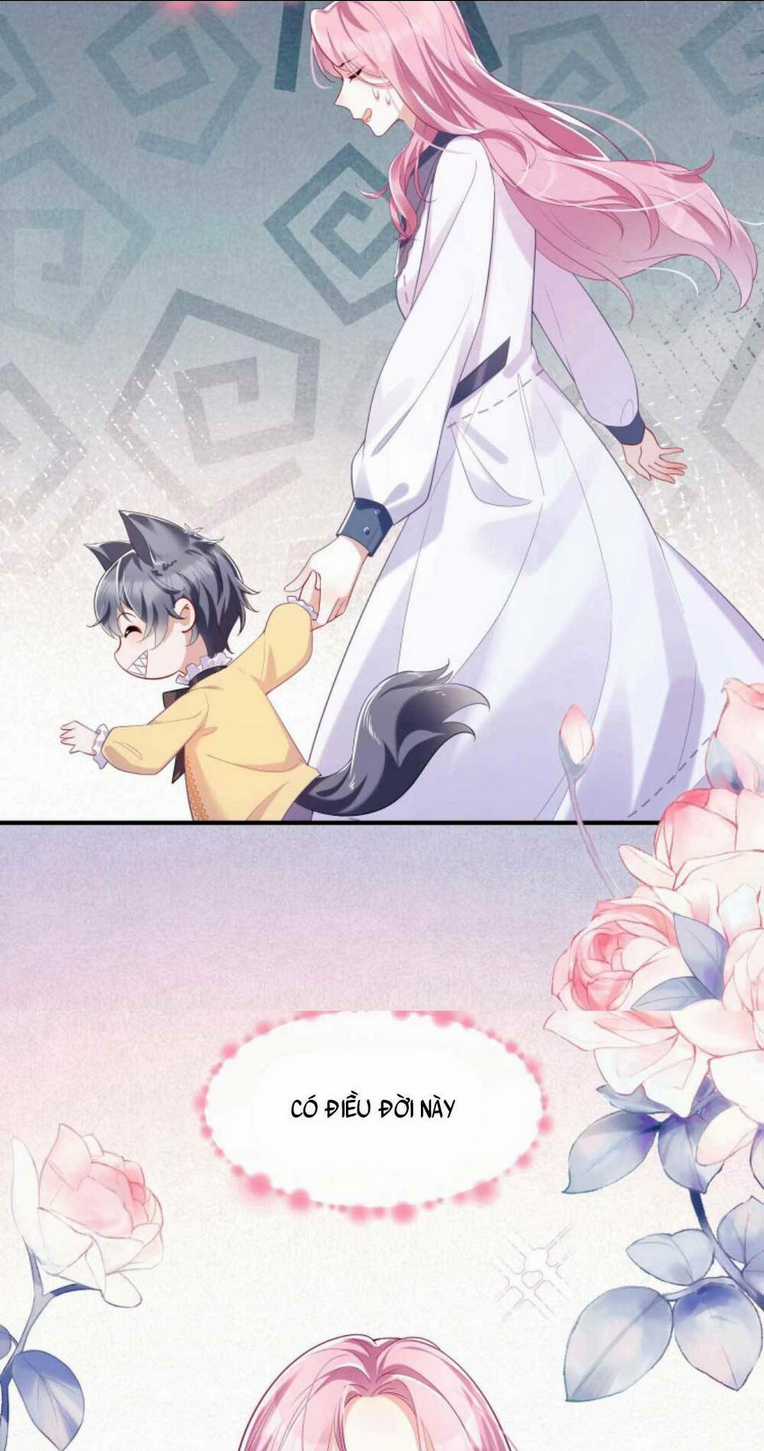 Tái Sinh Trở Lại : Chồng Cũ Khóc Lóc Cầu Xin Tái Hôn Chapter 1 trang 42