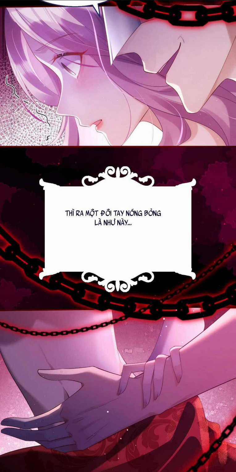 Tái Sinh Trở Lại : Chồng Cũ Khóc Lóc Cầu Xin Tái Hôn Chapter 1 trang 5