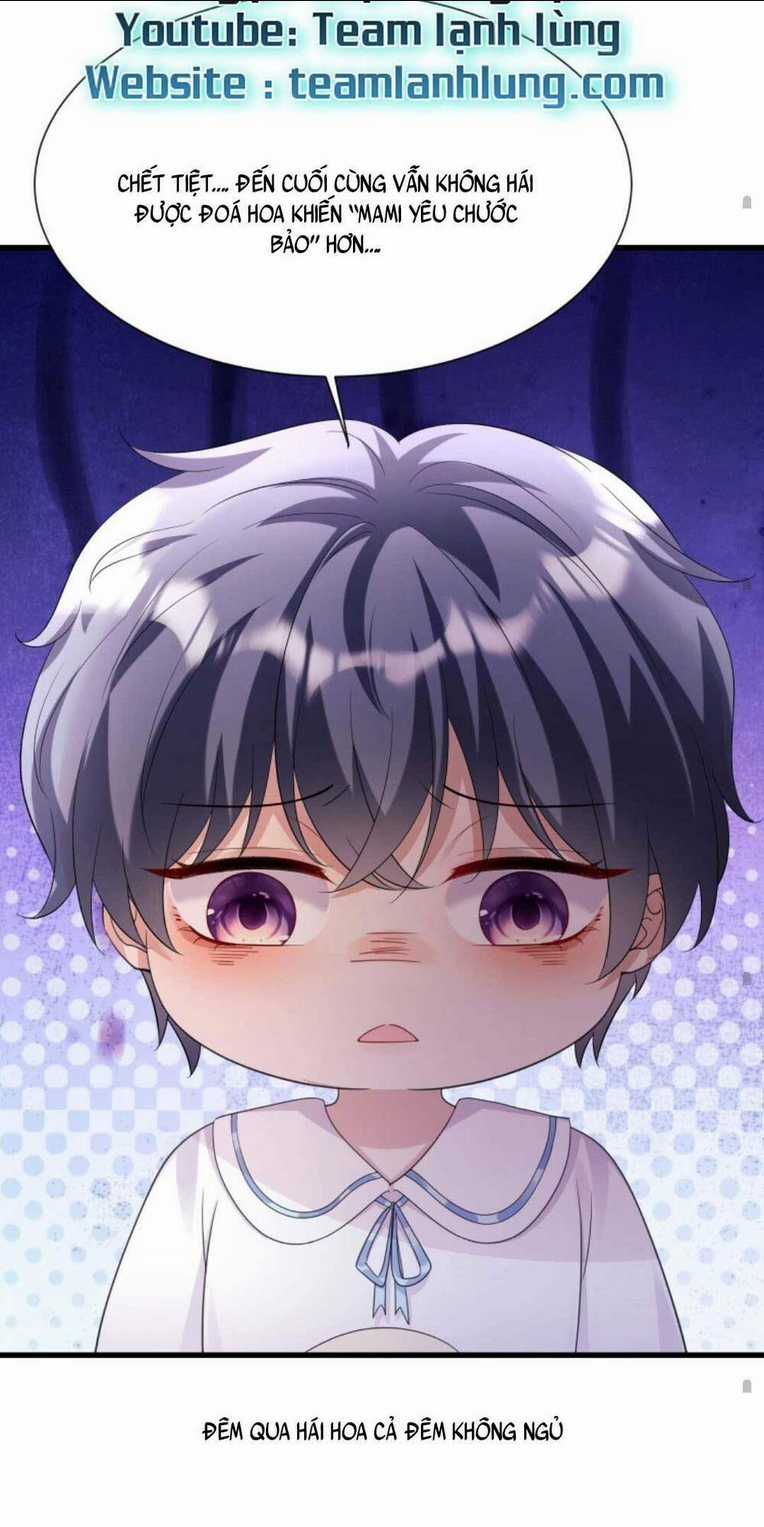 Tái Sinh Trở Lại : Chồng Cũ Khóc Lóc Cầu Xin Tái Hôn Chapter 10 trang 17