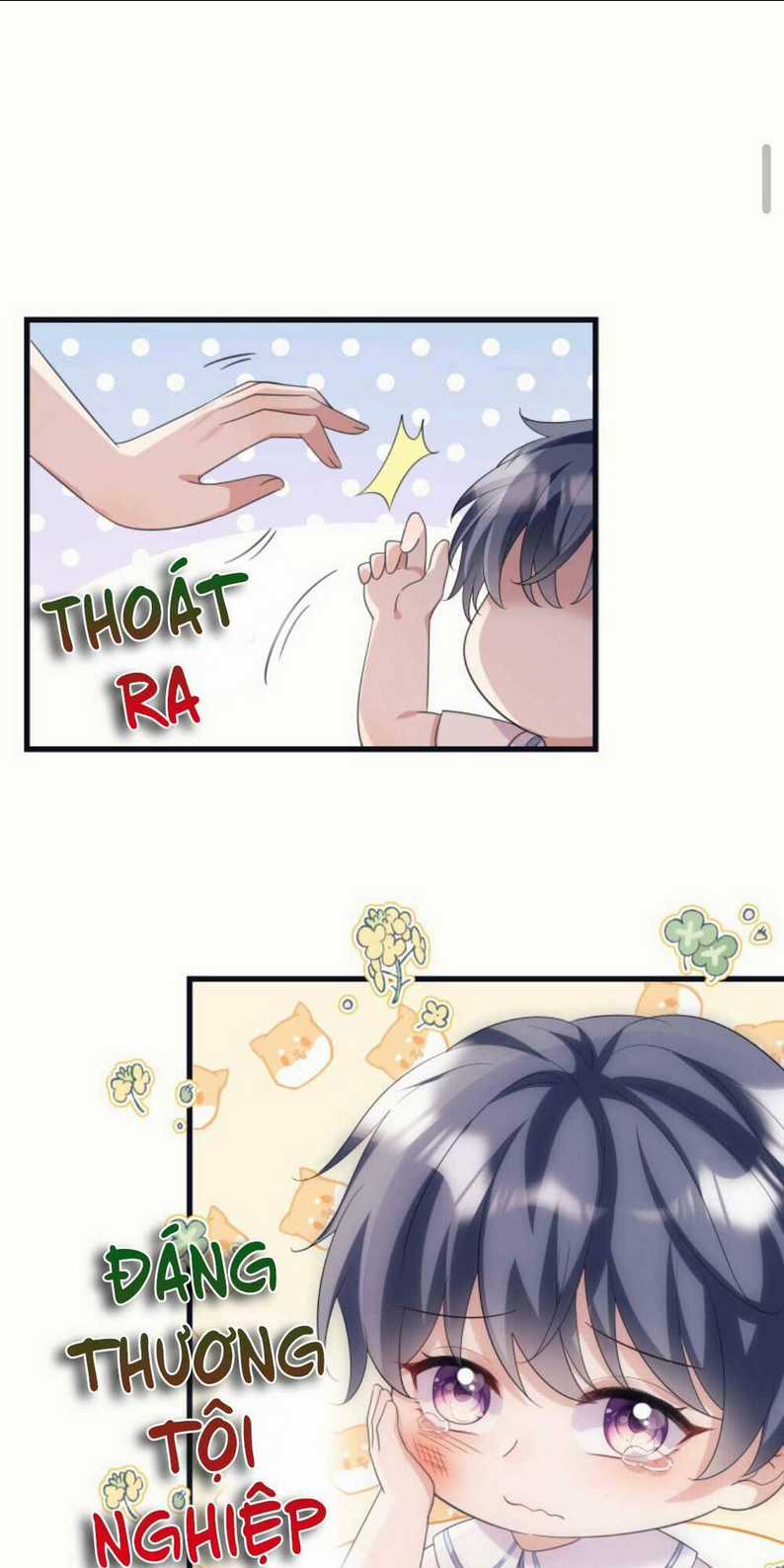 Tái Sinh Trở Lại : Chồng Cũ Khóc Lóc Cầu Xin Tái Hôn Chapter 11 trang 2