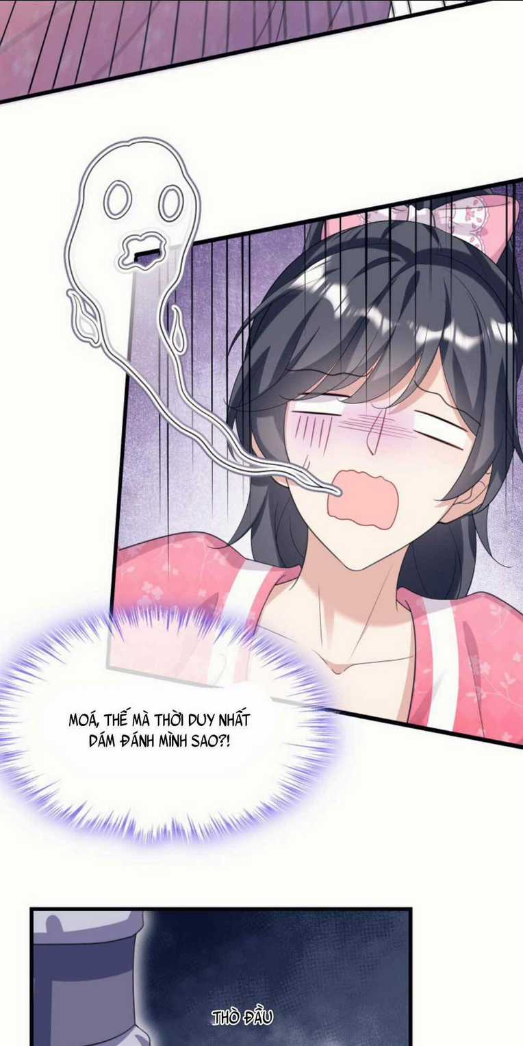 Tái Sinh Trở Lại : Chồng Cũ Khóc Lóc Cầu Xin Tái Hôn Chapter 11 trang 5