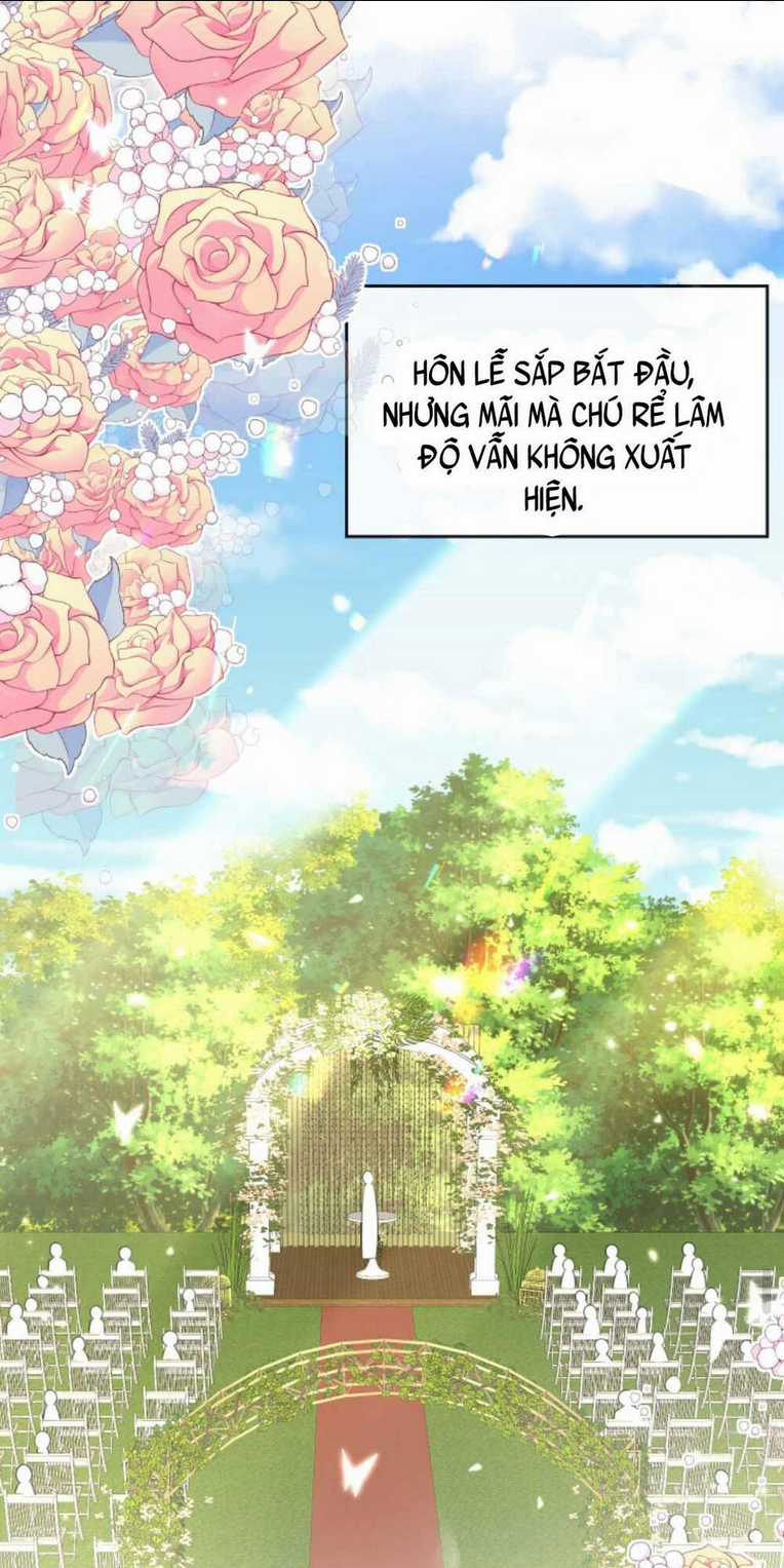 Tái Sinh Trở Lại : Chồng Cũ Khóc Lóc Cầu Xin Tái Hôn Chapter 12 trang 17