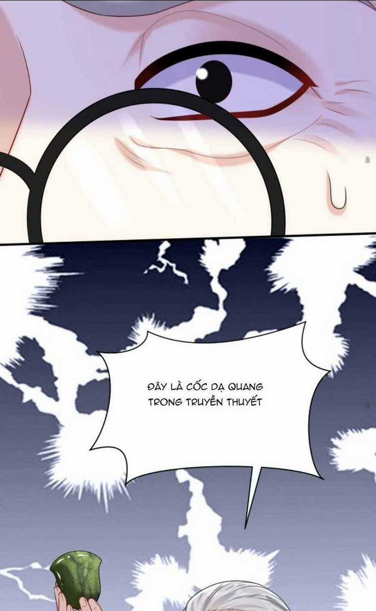 Tái Sinh Trở Lại : Chồng Cũ Khóc Lóc Cầu Xin Tái Hôn Chapter 126 trang 34