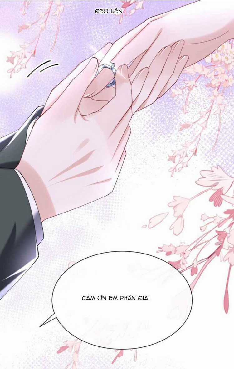 Tái Sinh Trở Lại : Chồng Cũ Khóc Lóc Cầu Xin Tái Hôn Chapter 127 trang 19