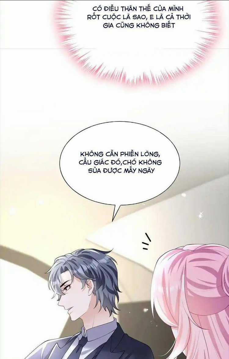 Tái Sinh Trở Lại : Chồng Cũ Khóc Lóc Cầu Xin Tái Hôn Chapter 129 trang 42