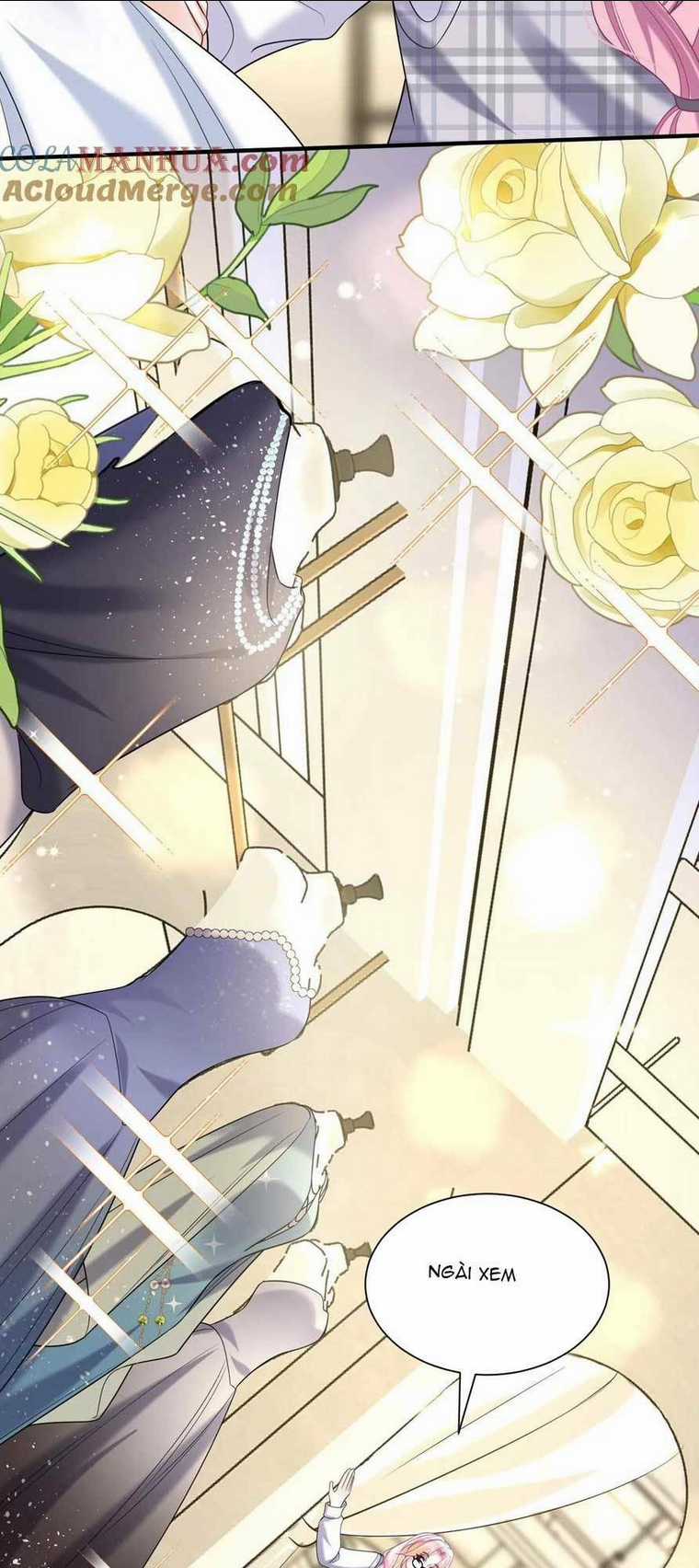 Tái Sinh Trở Lại : Chồng Cũ Khóc Lóc Cầu Xin Tái Hôn Chapter 133 trang 19