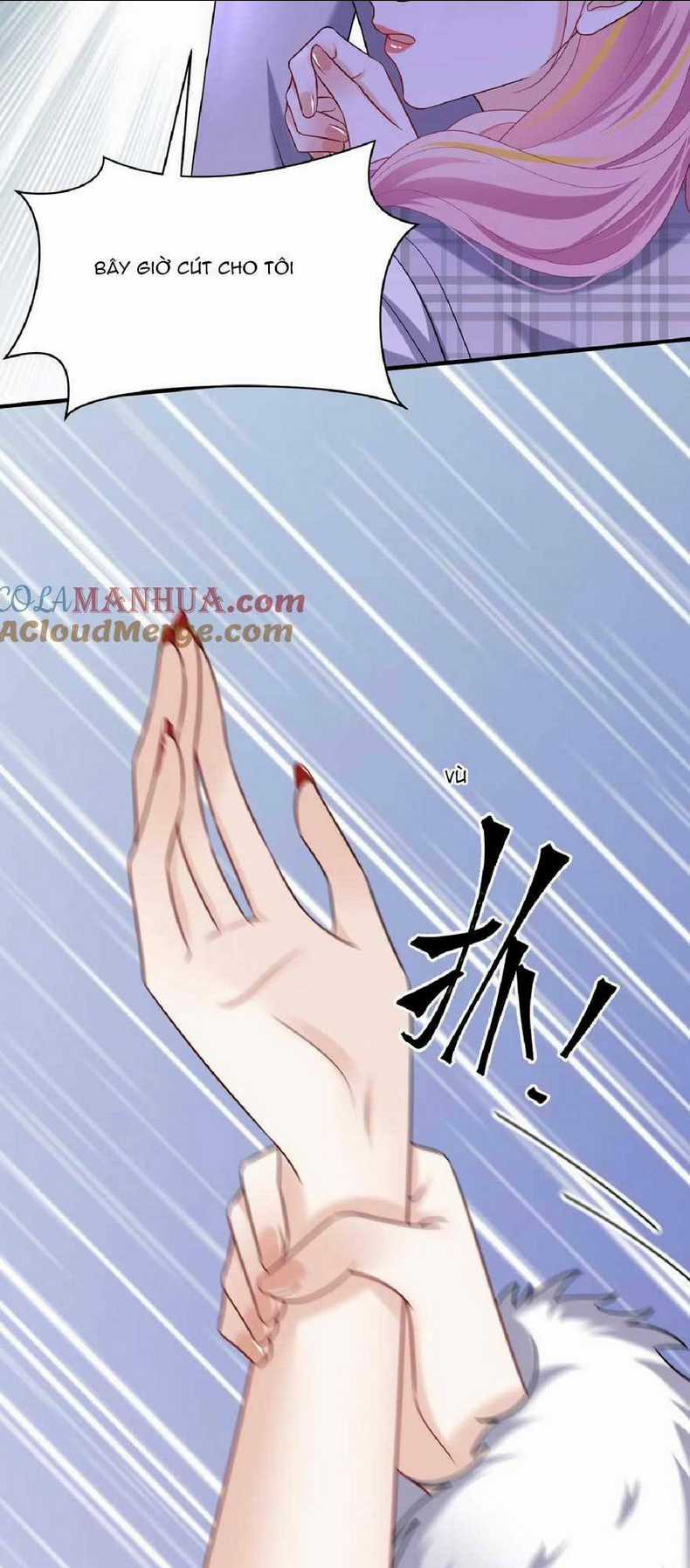 Tái Sinh Trở Lại : Chồng Cũ Khóc Lóc Cầu Xin Tái Hôn Chapter 133 trang 2