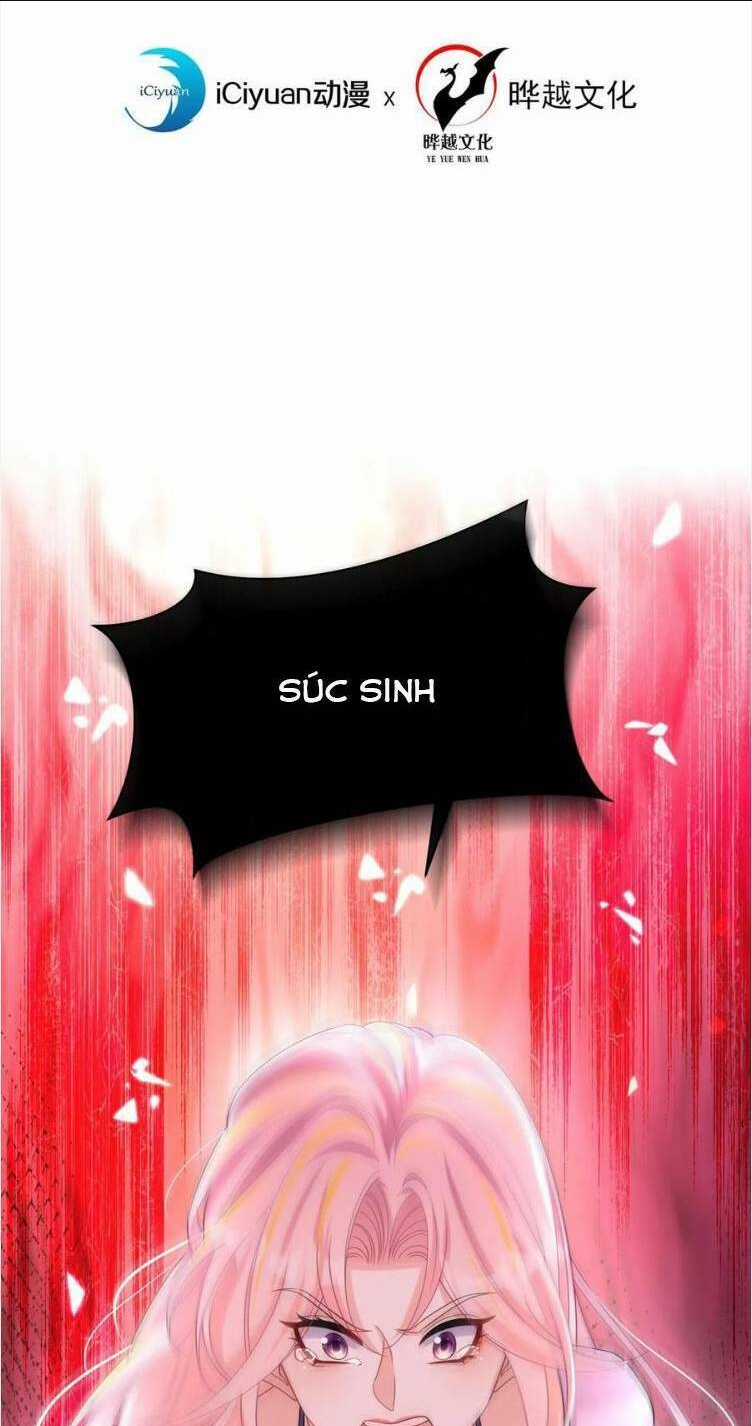 Tái Sinh Trở Lại : Chồng Cũ Khóc Lóc Cầu Xin Tái Hôn Chapter 139 trang 4