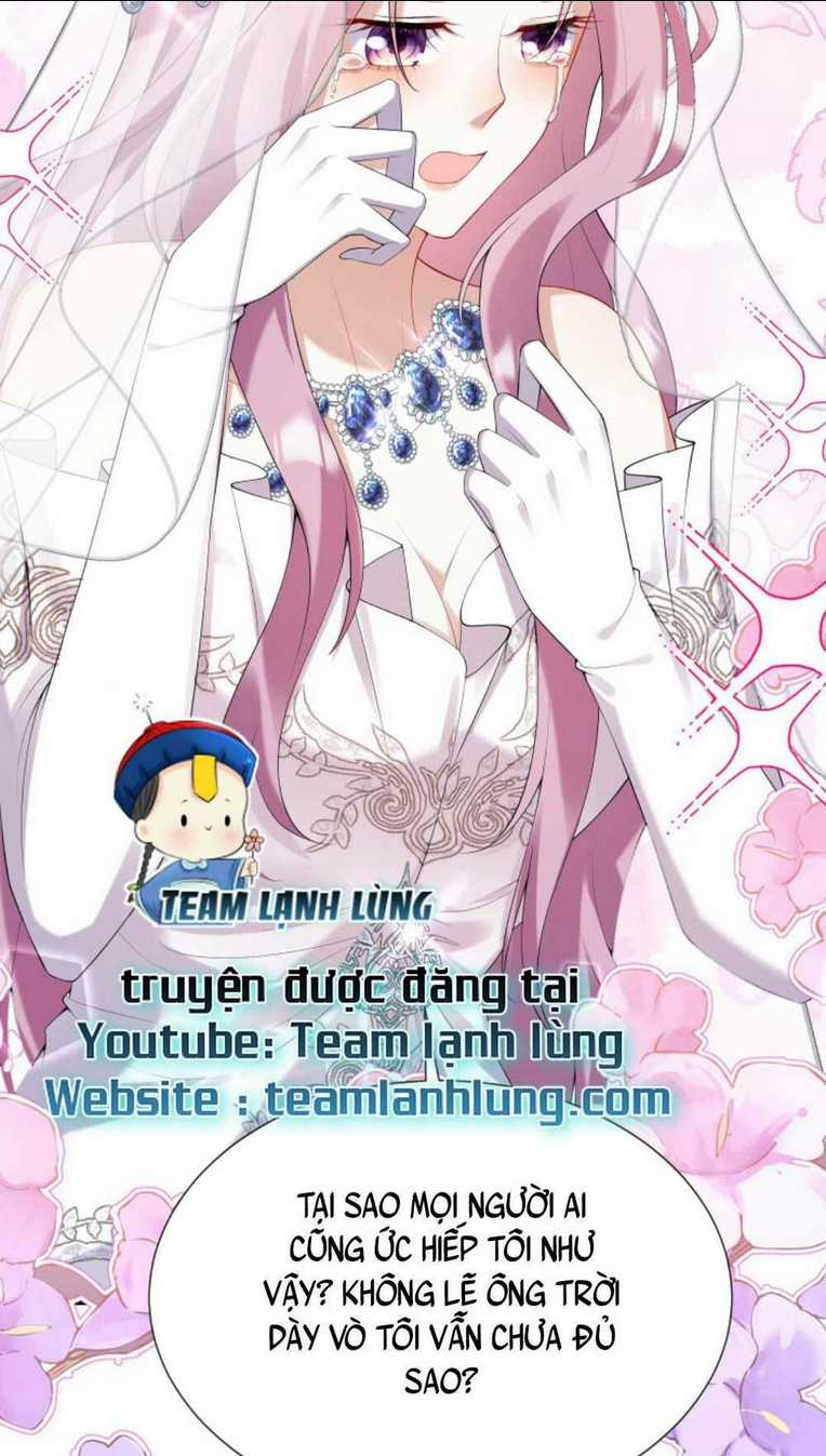 Tái Sinh Trở Lại : Chồng Cũ Khóc Lóc Cầu Xin Tái Hôn Chapter 14 trang 12