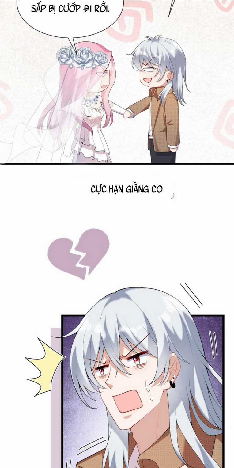 Tái Sinh Trở Lại : Chồng Cũ Khóc Lóc Cầu Xin Tái Hôn Chapter 14 trang 24