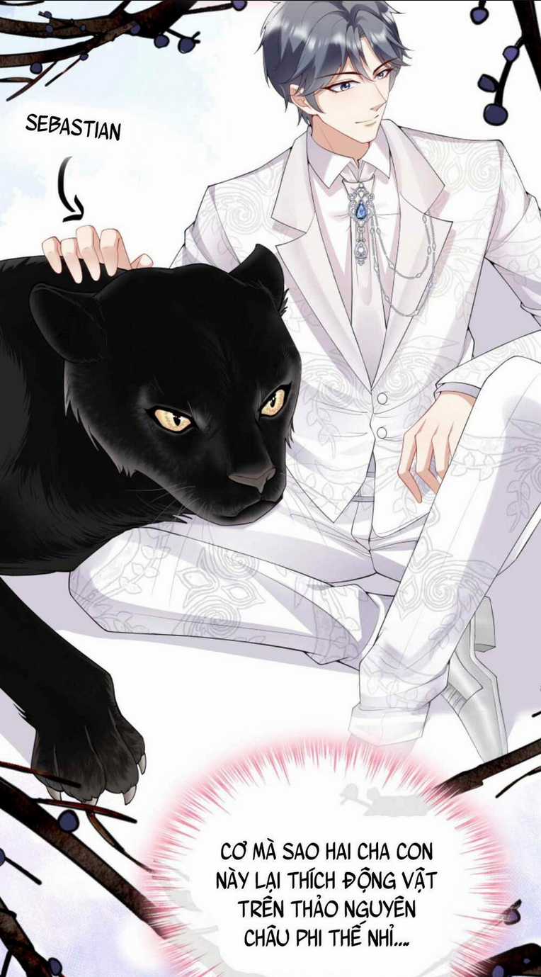 Tái Sinh Trở Lại : Chồng Cũ Khóc Lóc Cầu Xin Tái Hôn Chapter 15 trang 11