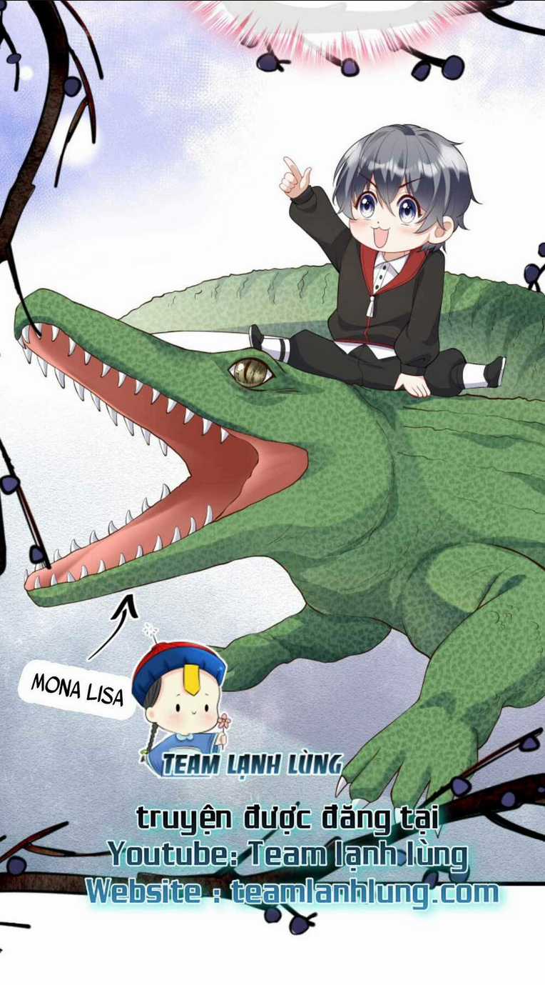 Tái Sinh Trở Lại : Chồng Cũ Khóc Lóc Cầu Xin Tái Hôn Chapter 15 trang 12