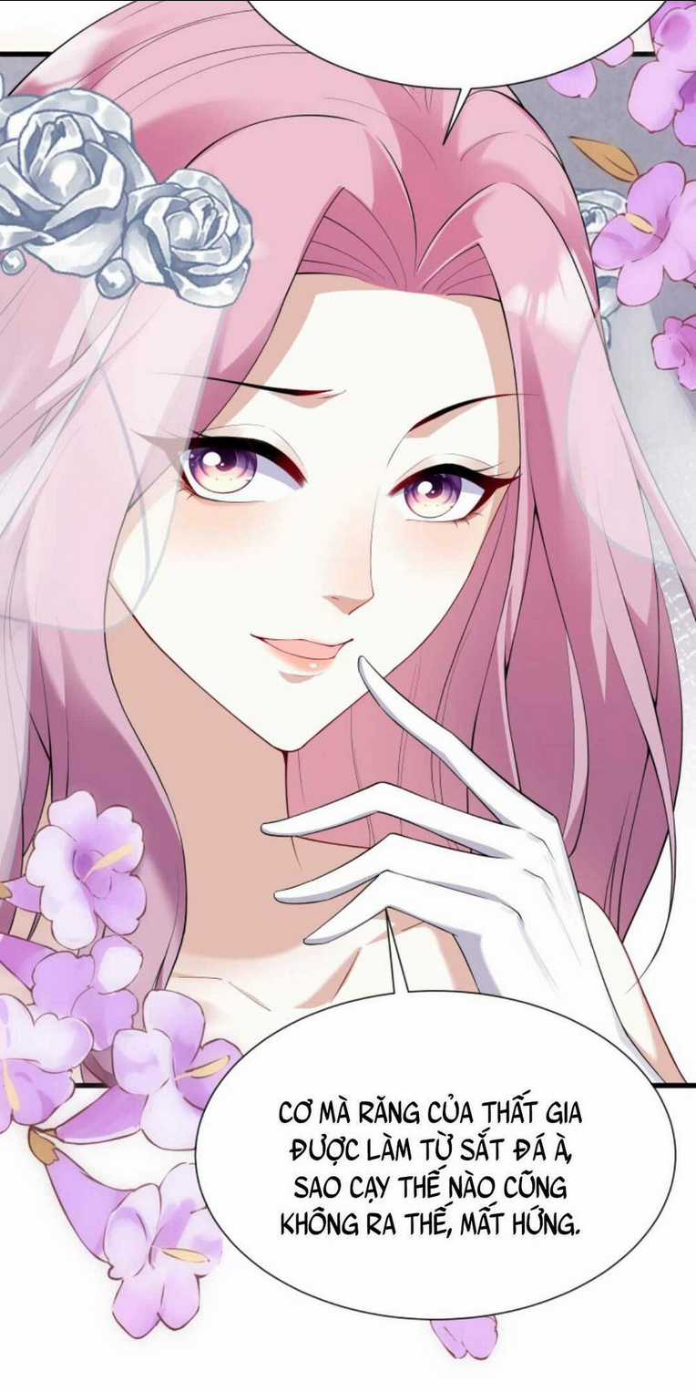 Tái Sinh Trở Lại : Chồng Cũ Khóc Lóc Cầu Xin Tái Hôn Chapter 15 trang 27