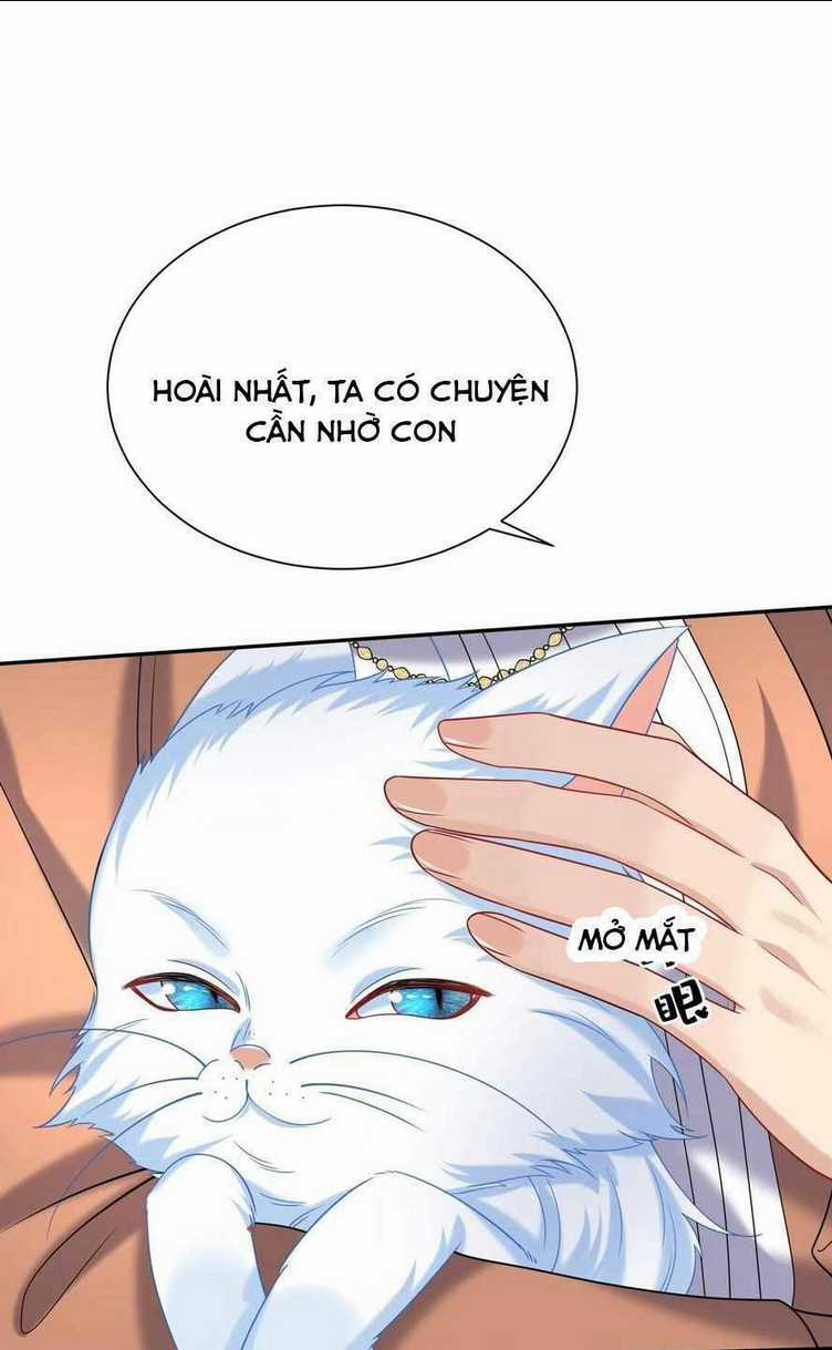 Tái Sinh Trở Lại : Chồng Cũ Khóc Lóc Cầu Xin Tái Hôn Chapter 155 trang 26