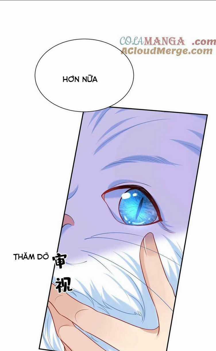 Tái Sinh Trở Lại : Chồng Cũ Khóc Lóc Cầu Xin Tái Hôn Chapter 155 trang 30