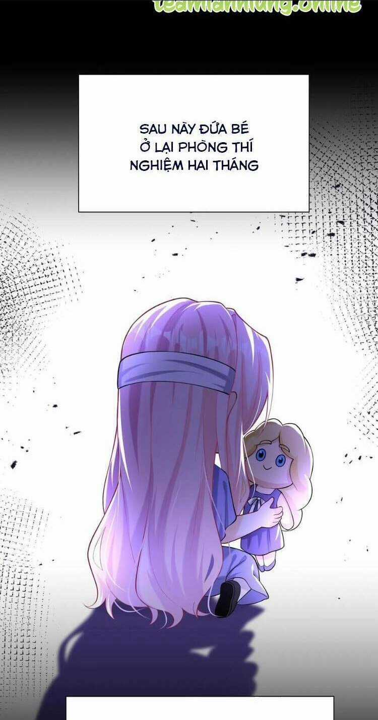 Tái Sinh Trở Lại : Chồng Cũ Khóc Lóc Cầu Xin Tái Hôn Chapter 157 trang 15