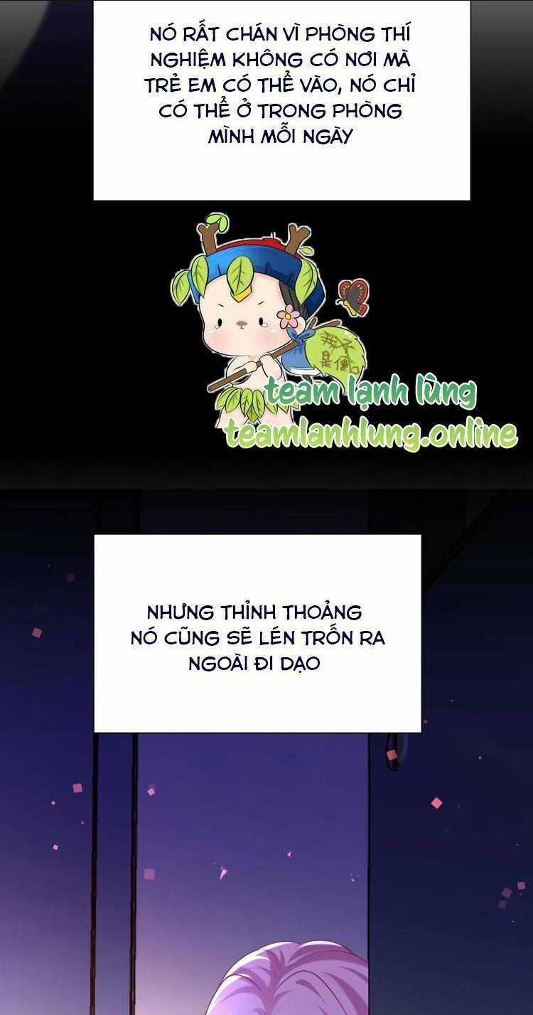 Tái Sinh Trở Lại : Chồng Cũ Khóc Lóc Cầu Xin Tái Hôn Chapter 157 trang 16