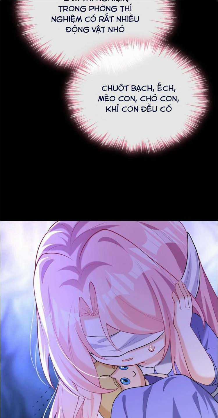 Tái Sinh Trở Lại : Chồng Cũ Khóc Lóc Cầu Xin Tái Hôn Chapter 157 trang 24