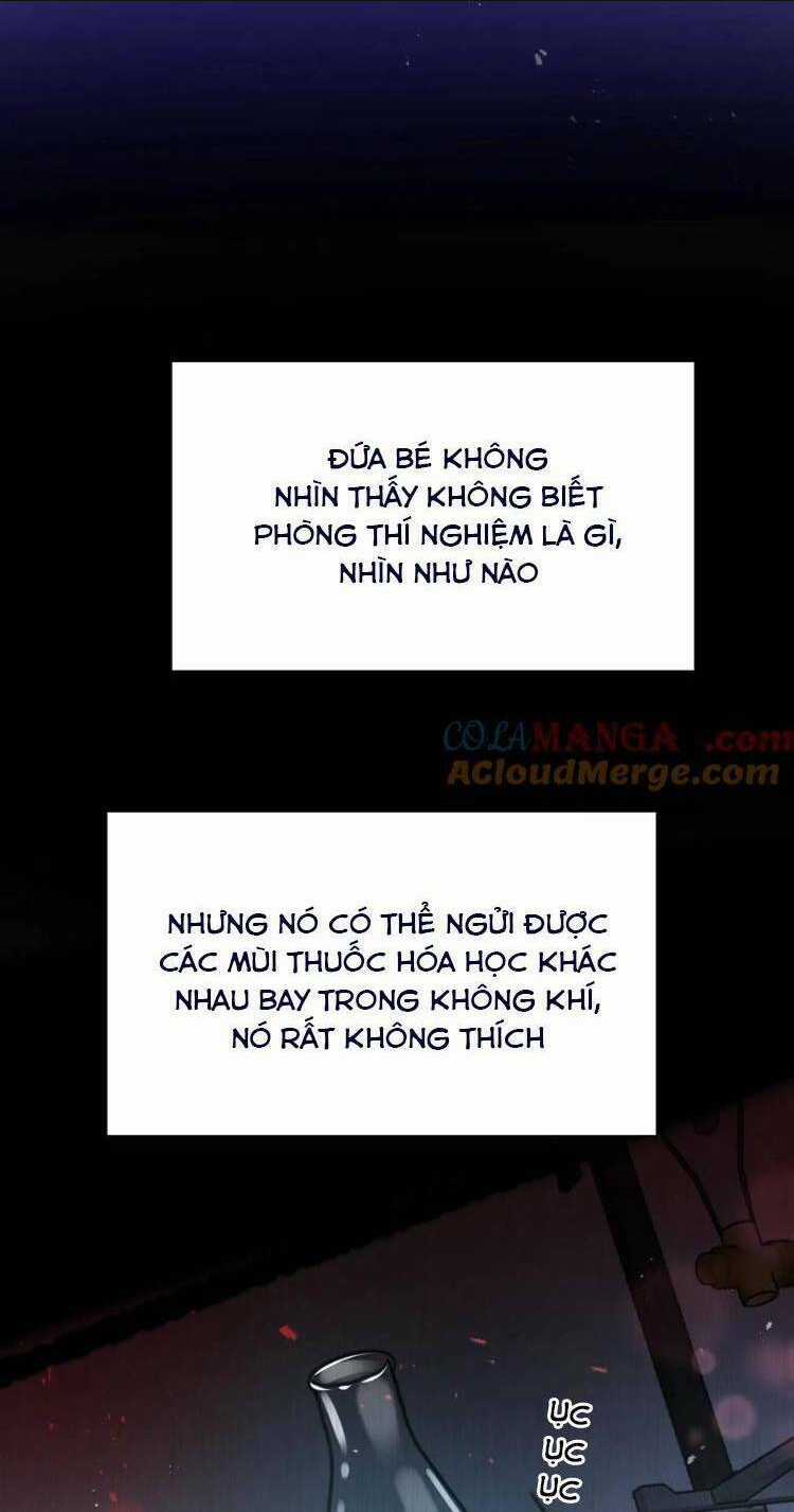 Tái Sinh Trở Lại : Chồng Cũ Khóc Lóc Cầu Xin Tái Hôn Chapter 157 trang 6