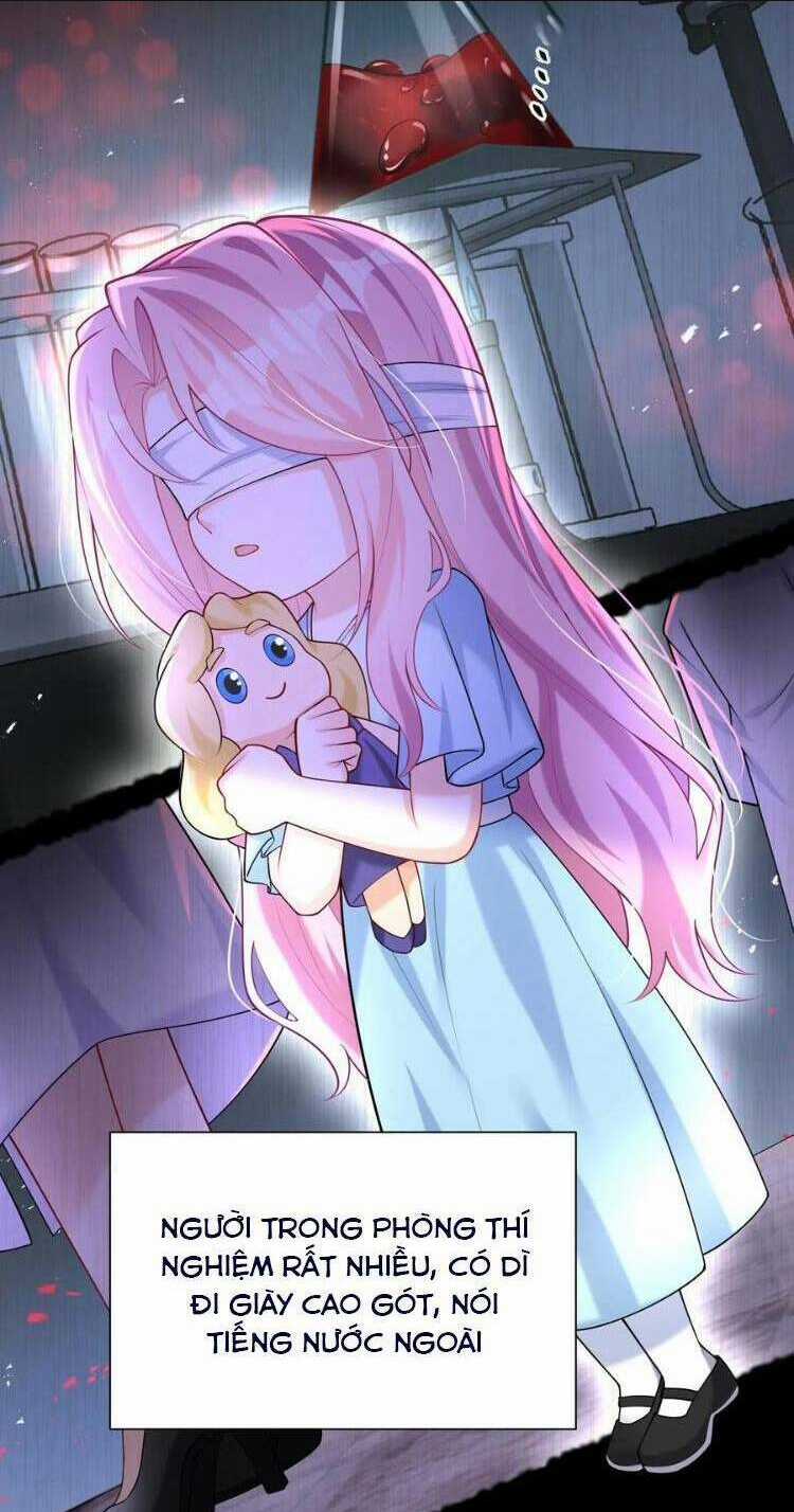 Tái Sinh Trở Lại : Chồng Cũ Khóc Lóc Cầu Xin Tái Hôn Chapter 157 trang 7